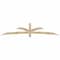 Ekena Millwork Davenport Rough Sawn Timber Gable Bracket, Douglas Fir, 108"W x 22"H x 2"D x 4"F, 5/12 Pitch GBW108X22X0204DAV00RDF - alternate 1